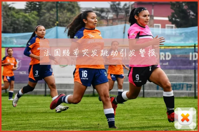 法国赔率突发跳动引发警报