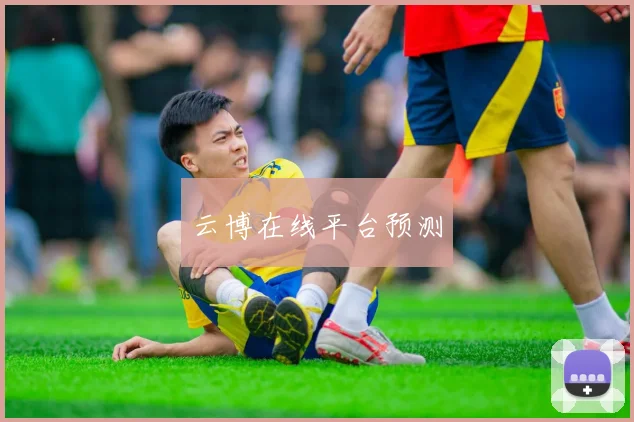 云博在线平台预测