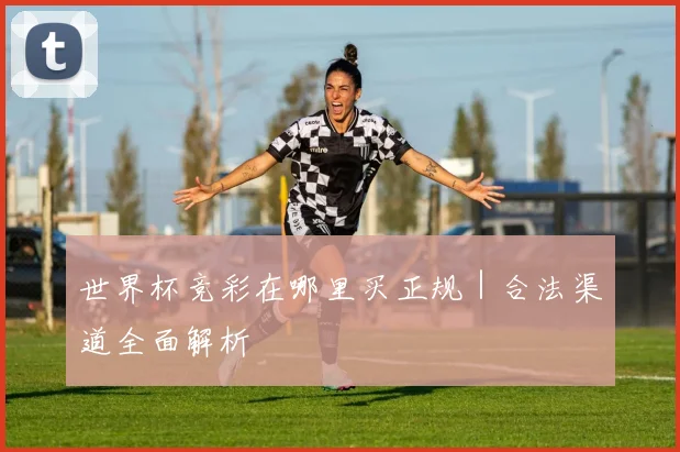 世界杯竞彩在哪里买正规|合法渠道全面解析