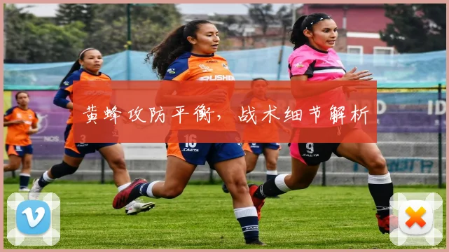 黄蜂攻防平衡，战术细节解析