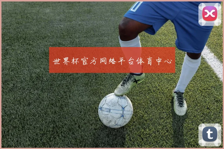 世界杯官方网络平台体育中心