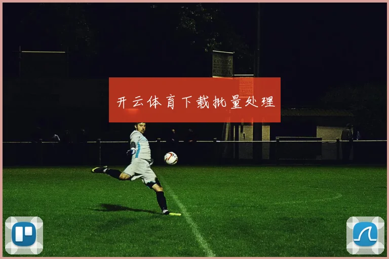 开云体育下载批量处理