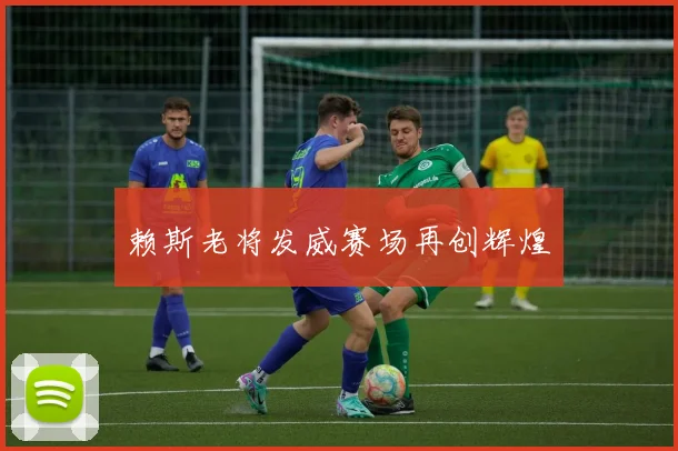 赖斯老将发威赛场再创辉煌