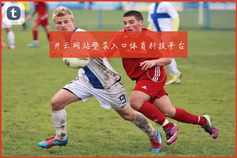 开云网站登录入口体育科技平台