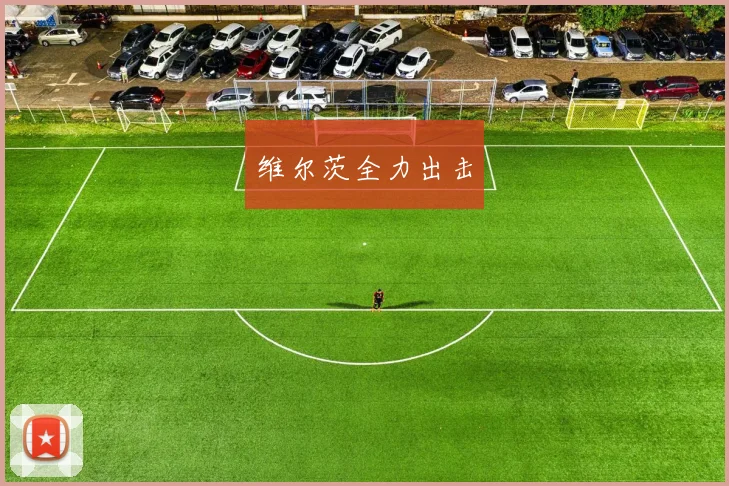 维尔茨全力出击