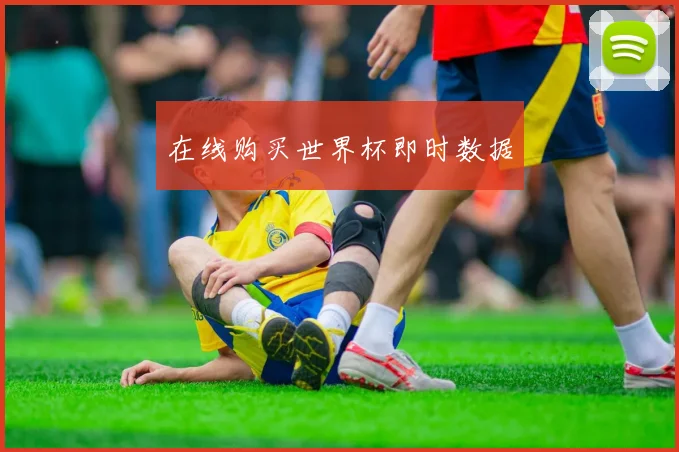 在线购买世界杯即时数据