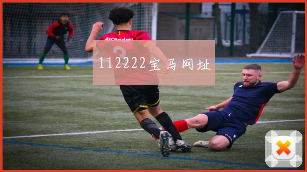 112222宝马网址
