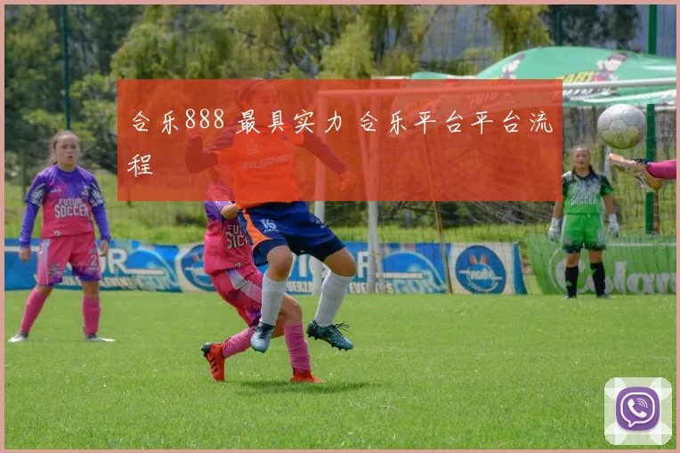 合乐888 最具实力 合乐平台平台流程