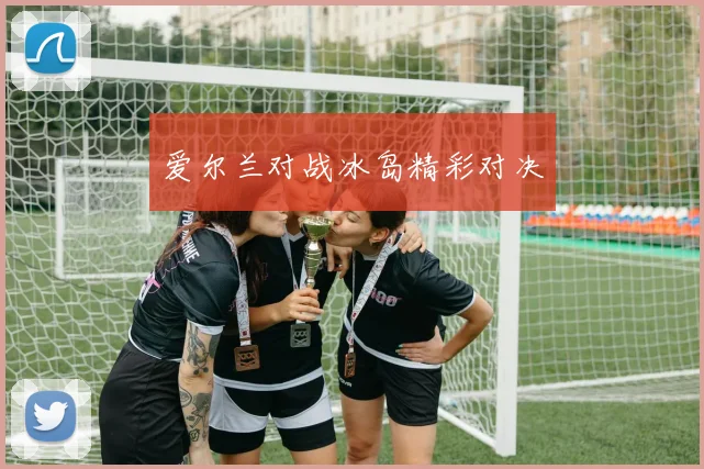 爱尔兰对战冰岛精彩对决