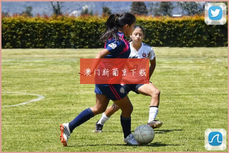 澳门新葡京下载