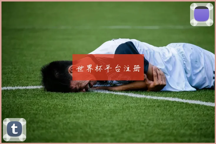 世界杯平台注册