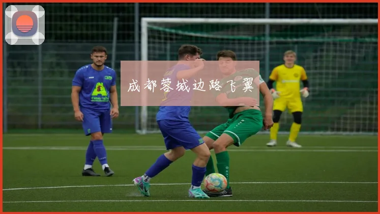成都蓉城边路飞翼