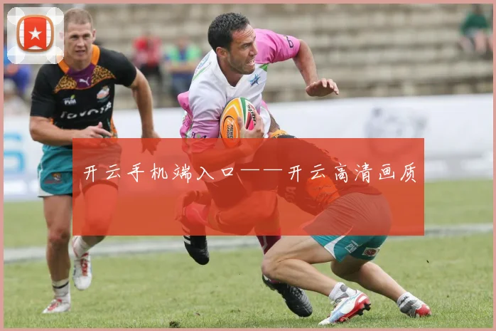 开云手机端入口——开云高清画质