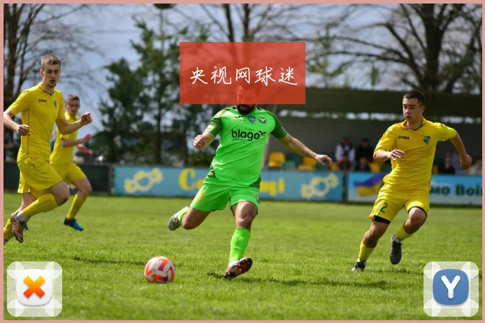 央视网球迷