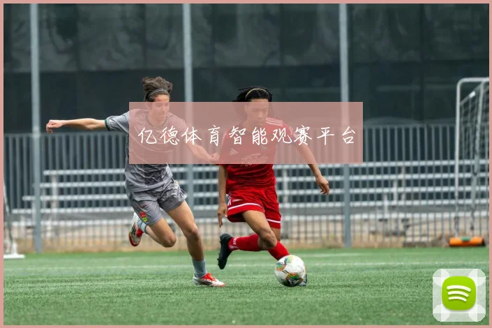 亿德体育智能观赛平台