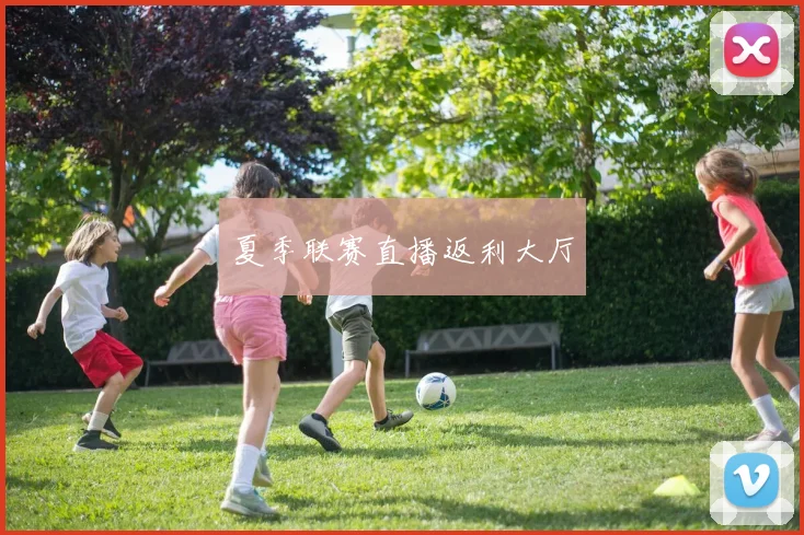 夏季联赛直播返利大厅