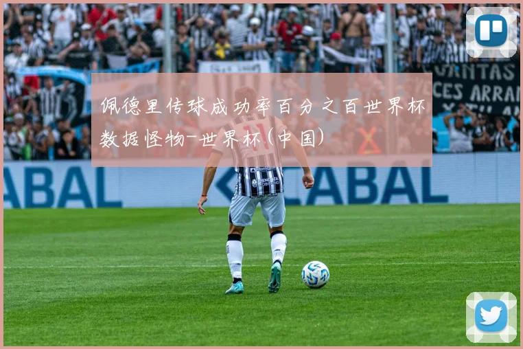 佩德里传球成功率百分之百世界杯数据怪物-世界杯(中国)
