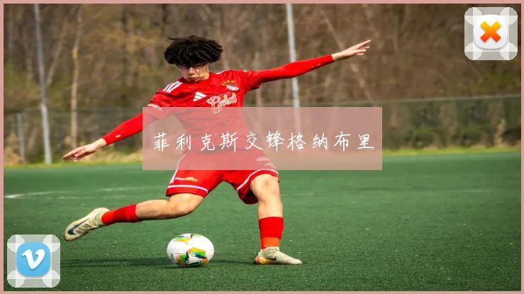菲利克斯交锋格纳布里