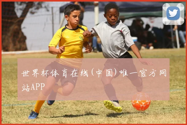 世界杯体育在线(中国)唯一官方网站APP