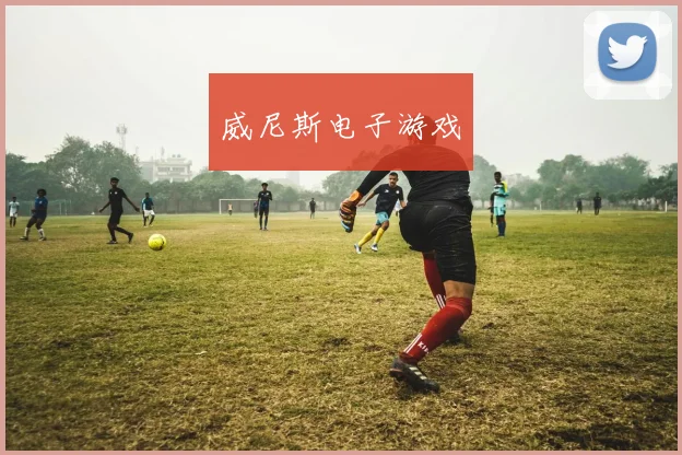 威尼斯电子游戏