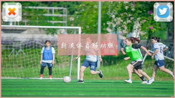 新浪体育移动版
