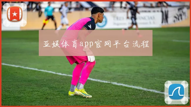 亚娱体育app官网平台流程
