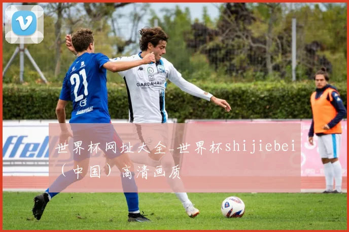 世界杯网址大全_世界杯shijiebei（中国）高清画质
