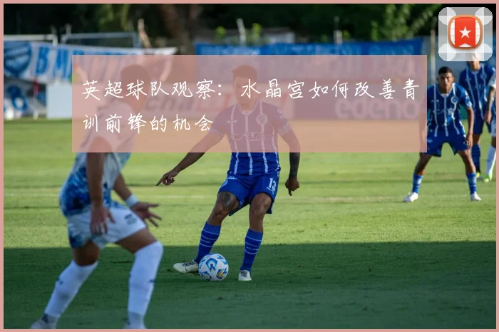 英超球队观察：水晶宫如何改善青训前锋的机会
