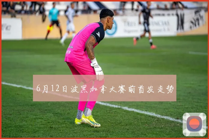6月12日波黑加拿大赛前首发走势